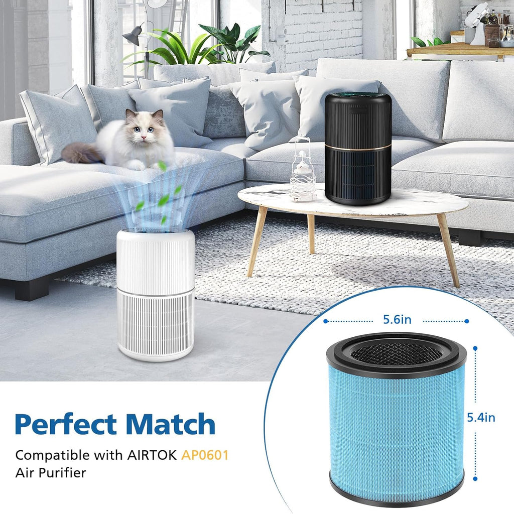 AIRTOK AP0601 H13 HEPA Filters (2-Pack)